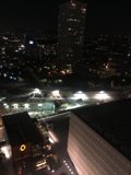 Nighttime Metropolis