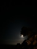 Moonlit waters
