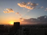 Golden Hour in the Urban Jungle