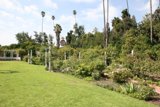 Serene Garden Oasis