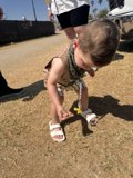 Little Explorer at Play