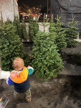 Young Child Selecting Christmas Tree at Holiday Market