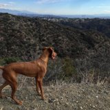Ridge Line Trail