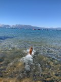 Dive into Nature