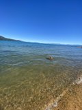 Playtime in the Tahoe Waters
