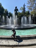 A Canine's View of Plaza Rio De Janeiro