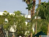 People Outside a Villa with Palm Trees and Blue Skies