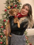 A Merry Christmas with My Furry Friend