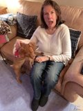 Cozy afternoon on the couch with my furry friend
