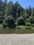 Serenity at the Russian River