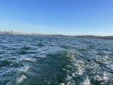 Sailing through the San Francisco Bay