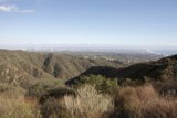 Overlooking the Wild Expanse