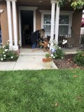 Summer Relaxation on the Porch