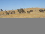 A Peaceful Countryside View