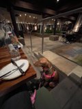 The Pup at the Pub