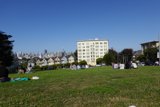 Relaxing Day at the Park