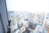 Giraffe in the Cityscape