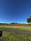Cruising through the Napa Countryside