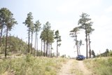 Off-Roading Adventure in Dome Wilderness