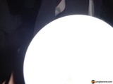Moonlit Playtime