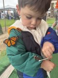 Curious Encounters at Plaza Park