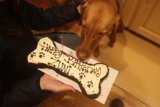 A Dog's Sweet Tooth