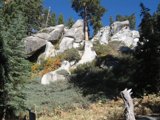 Majestic rock formation surrounded by towering trees