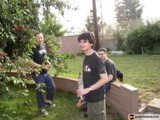 Three Young Men and Their Furry Companion Pose in Backyard