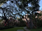 Enchanted Evening at The Royal Hawaiian