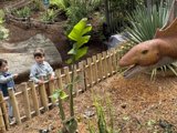 Little Explorers in a Prehistoric Playground