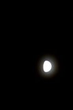 Lunar Glow