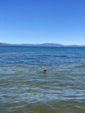 The Water is Calling