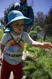 Little Gardener at Work