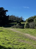 Serene Pasture