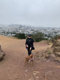 Overlooking the Cityscape