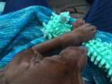 Playtime with Pup
