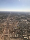 Bird's Eye Phoenix