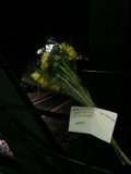 Floral Tribute