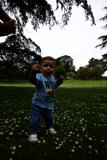 A Delightful Day at San Francisco Botanical Garden