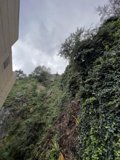 Nature Takes Over