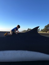 Young Boy Climbing Skateboard Park Ramp at Sunset