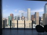 The Urban Metropolis