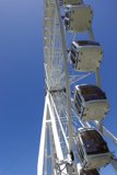 Fun in the Blue Skies