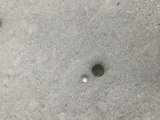 A Sphere and a Rock at Rest