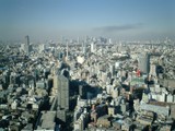 Tokyo's Thriving Metropolis