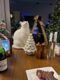 White Cat and Wine