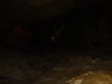 Exploring the Depths