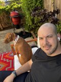 Chair Companions