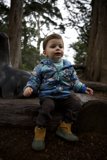 Nature's Cradle: A Moment of Innocence