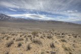 Desert Oasis